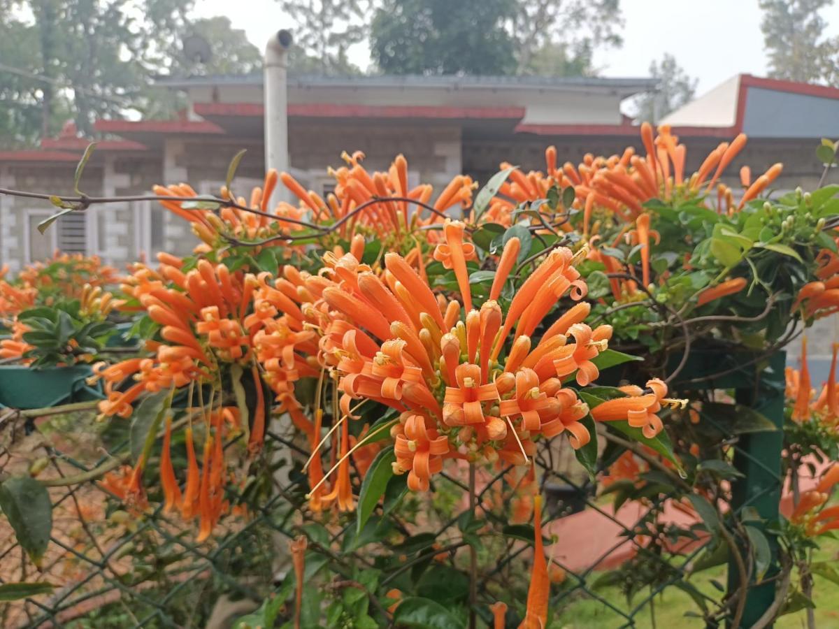 Coorg Kolamotte Otel Gonikoppal Dış mekan fotoğraf