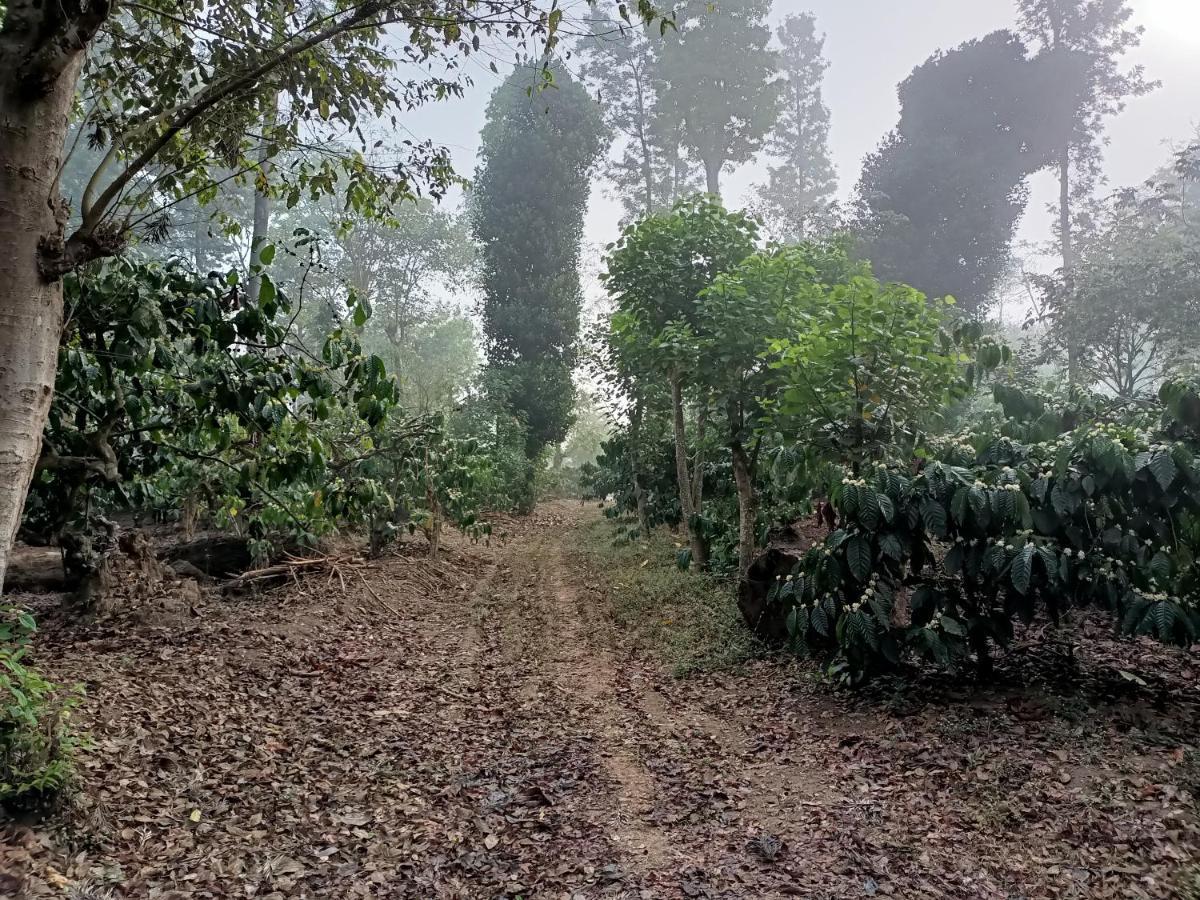 Coorg Kolamotte Otel Gonikoppal Dış mekan fotoğraf