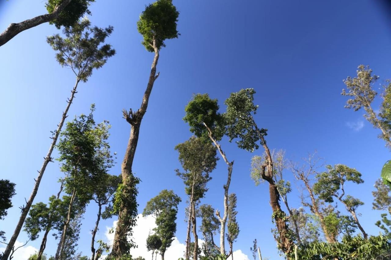 Coorg Kolamotte Otel Gonikoppal Dış mekan fotoğraf