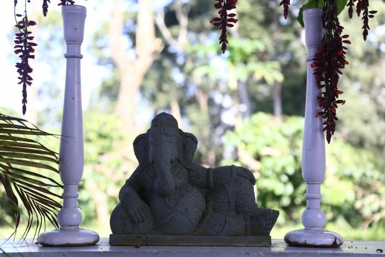 Coorg Kolamotte Otel Gonikoppal Dış mekan fotoğraf